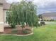 Beautifully landscaped yard with lush green grass and a unique weeping willow tree at 3466 Smedley Rd, The Villages, FL 32163