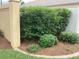 Yard featuring lush green bamboo, colorful shrubs, and fresh pine straw for a vibrant landscape at 3466 Smedley Rd, The Villages, FL 32163