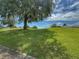 Expansive lush green lawn with mature trees providing ample shade and a serene atmosphere, perfect for outdoor activities at 3555 Chapel Hill Blvd, Clermont, FL 34711