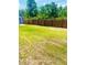 Large backyard with a wooden fence, green grass, and shed, perfect for outdoor activities at 4002 Sw 158Th Street Rd, Ocala, FL 34473