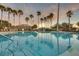 Tranquil community swimming pool reflecting palm trees and the sunset, complemented by inviting lounge areas at 4239 Fawn Meadows Cir, Clermont, FL 34711