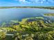 Panoramic aerial view of a property with a beautiful lake and surrounding lush greenery at 9269 Silver Lake Dr, Leesburg, FL 34788