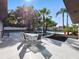 Landscaped backyard featuring a patio, seating area, palm trees and a swimming pool at 9269 Silver Lake Dr, Leesburg, FL 34788