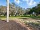 The backyard is large and green with trees at 9269 Silver Lake Dr, Leesburg, FL 34788