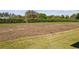 Spacious backyard featuring grass and fresh soil ideal for gardening or outdoor activities at 1042 Sugarloaf Key Loop, Lady Lake, FL 32159