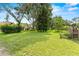 View of a large, well-kept backyard with mature trees and green grass at 112 Waterwood Dr, Yalaha, FL 34797