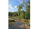Curving walking path alongside trees and grassy fields with bike, for outdoor recreation and nature enjoyment at 1225 Eunice St, The Villages, FL 34762