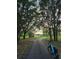 Scenic walking path winding through lush greenery, perfect for a leisurely bike ride or stroll at 1225 Eunice St, The Villages, FL 34762