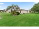 Spacious backyard with lush lawn and mature palm trees at 17461 Se 82Nd Albemarle Ave, The Villages, FL 32162