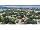 Aerial view of a neighborhood home nestled among lush greenery and overlooking a scenic lake at 2237 Washington Rd, Mount Dora, FL 32757