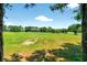 Picturesque backyard with expansive green space at 27121 White Plains Way, Leesburg, FL 34748