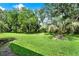A palm tree and mature trees dot this expansive backyard lawn at 27302 Stoney Brook Dr, Leesburg, FL 34748