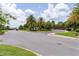 Community street view showcases manicured landscaping, palm trees, and a welcoming entrance at 2954 Heiny Pl, The Villages, FL 32163
