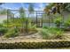 Landscaped backyard featuring mature tropical plants and hardscape elements behind the house at 32948 Rambling Oaks Ct, Leesburg, FL 34748