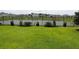 The backyard has well-maintained landscaping and an elegant black metal fence for security and aesthetic appeal at 33647 Sky Blossom Cir, Leesburg, FL 34788
