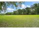 Expansive grassy field with mature trees on the perimeter creating an inviting backdrop at 37236 Cherry Lake Rd, Fruitland Park, FL 34731