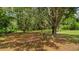 Beautifully landscaped yard with majestic trees providing ample shade and a tranquil atmosphere on a sunny day at 39132 Grays Airport Rd, Lady Lake, FL 32159