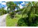 Charming street view with palm trees, green lawns, and beautifully maintained homes at 4634 Bigler Ln, Mount Dora, FL 32757