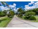 Long driveway lined with palm trees leading to charming homes under a beautiful blue, cloudy sky at 4634 Bigler Ln, Mount Dora, FL 32757