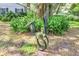 Backyard of a house with a tire swing hanging from a tree at 500 Lake Forest Cir, Mount Dora, FL 32757