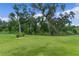 Lush green backyard with mature trees and a partial fence, offering privacy and a scenic view at 6991 Sugar Creek Path, The Villages, FL 34762