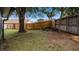 The backyard is mostly grass with a wood fence at 1130 Woodsong Way, Clermont, FL 34714