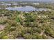 Aerial view of the property location near a lake and lush trees at 161 Cindy Ct, Lake Mary, FL 32746