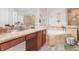 Bathroom features a large vanity, soaking tub, and walk-in shower at 17428 Woodfair Dr, Clermont, FL 34711