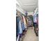 Walk-in closet with shelves and rods for organized clothing and storage at 17533 Se 96Th Ct, Summerfield, FL 34491