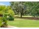 Beautiful backyard with lush green grass and mature trees creating a serene and private outdoor space at 219 Carrera Dr, The Villages, FL 32159