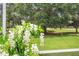 The white flowering plants add a lovely touch of elegance to the lanai and backyard at 219 Carrera Dr, The Villages, FL 32159