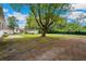 Large backyard with mature tree, big lawn and additional structures at 263 Ne 1St St, Webster, FL 33597