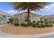 Inviting single-story home showcasing a beautiful palm tree and well-maintained landscaping at 2987 Kramer Ct, The Villages, FL 32163