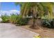 This concrete patio is surrounded by Palm Trees, blooming foliage, and rock landscaping at 2987 Kramer Ct, The Villages, FL 32163