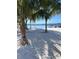Picturesque waterfront view showcasing white sandy beach, palm trees, and a relaxing pier at 33943 E Lake Joanna Dr, Eustis, FL 32736
