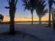 Scenic sunset view highlighting a sandy beach with palm trees silhouetted against the colorful sky at 33943 E Lake Joanna Dr, Eustis, FL 32736