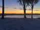 Tranquil view of a beach at sunset featuring palm trees framing the serene water at 33943 E Lake Joanna Dr, Eustis, FL 32736