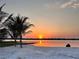 Beautiful sunrise scene on a sandy beach featuring calm waters and palm trees reflecting the golden light at 33943 E Lake Joanna Dr, Eustis, FL 32736