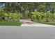 Well-maintained driveway lined with palm trees leading to the home at 33943 E Lake Joanna Dr, Eustis, FL 32736