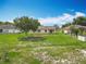 Expansive backyard featuring a large tree and lush lawn, offering ample space for outdoor activities at 439 Gentle Breeze Dr, Minneola, FL 34715
