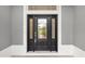 Close-up of the front door featuring decorative glass and a sidelight, enhancing the home's curb appeal at 5868 Wood Stork Way, The Villages, FL 32163