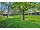 Lush green backyard featuring mature trees and well-maintained lawn, creating a serene outdoor space at 102 Lake Emma Cove Dr # 102, Lake Mary, FL 32746