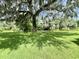 Spacious backyard featuring a large shade tree, a bench, and water view at 105 Avocado Cv, Leesburg, FL 34748