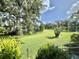 Beautiful backyard view of a grassy lawn extending to the river with an old grand tree at 105 Avocado Cv, Leesburg, FL 34748