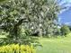 Scenic water view with seating under a large Spanish Moss covered shade tree at 105 Avocado Cv, Leesburg, FL 34748