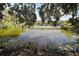 Scenic pond with lily pads and ducks on the shoreline at 1301 Cambridge Dr, Leesburg, FL 34748