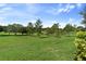 Expansive backyard with green grass and mature trees offering a serene, natural setting at 1351 Legendary Blvd, Clermont, FL 34711