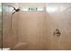 Tiled shower with showerhead, shower control, and a small window at 2400 Pawtucket Pass, Mount Dora, FL 32757