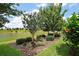 Landscaped backyard featuring lush trees, shrubbery, and a serene lake backdrop at 2400 Pawtucket Pass, Mount Dora, FL 32757