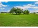Expansive green backyard featuring mature trees, set against a clear blue sky with scattered clouds at 2495 Se 75Th Blvd, Bushnell, FL 33513